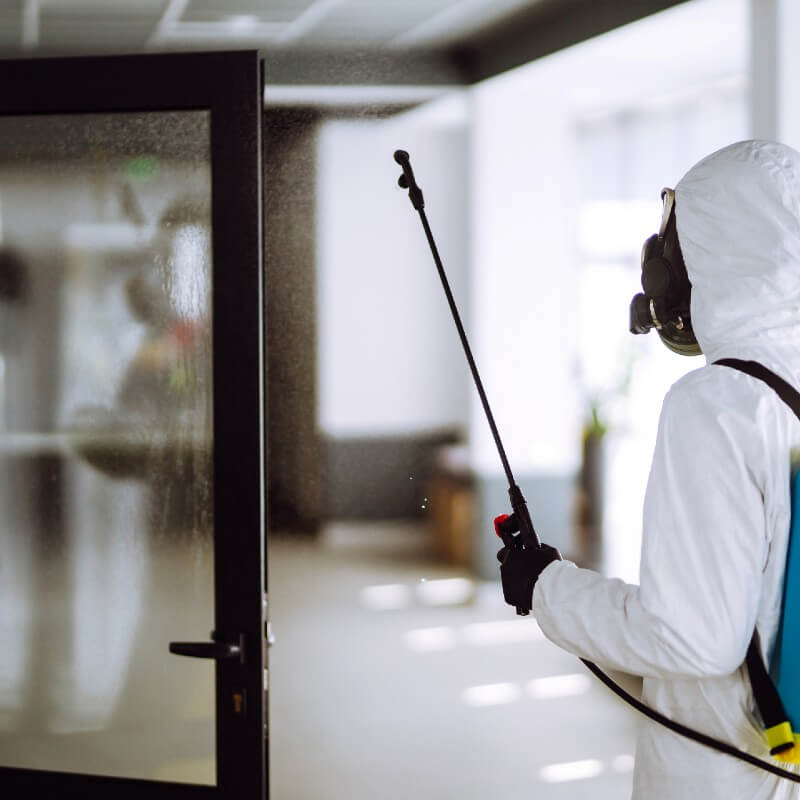 Disinfecting Service Thumbnail - An Exceptional Disinfecting Specialist Spraying an Office Room