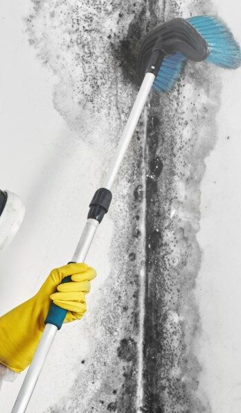 Mold Removal Thumbnail - Mold Abatement Specialist Removing Mold From the Wall with a Brush