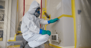 Professional mold specialists cleaning a wall