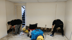 A pair of professional mold specialists working in a room